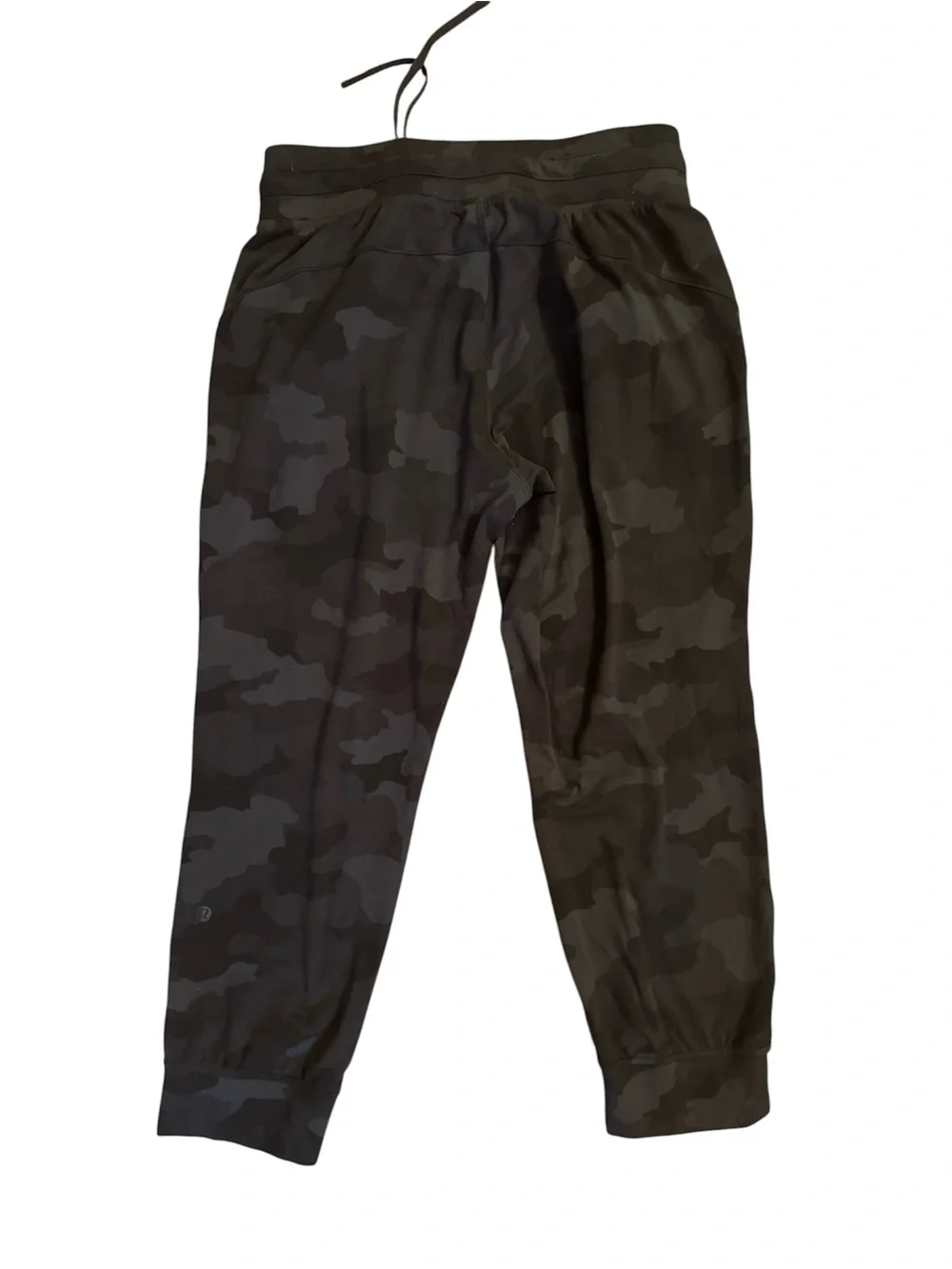 Lululemon Ready to Rulu Jogger 29